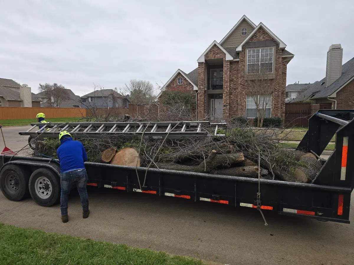 Expert Deadwooding with proper safety equipment in Blackshear